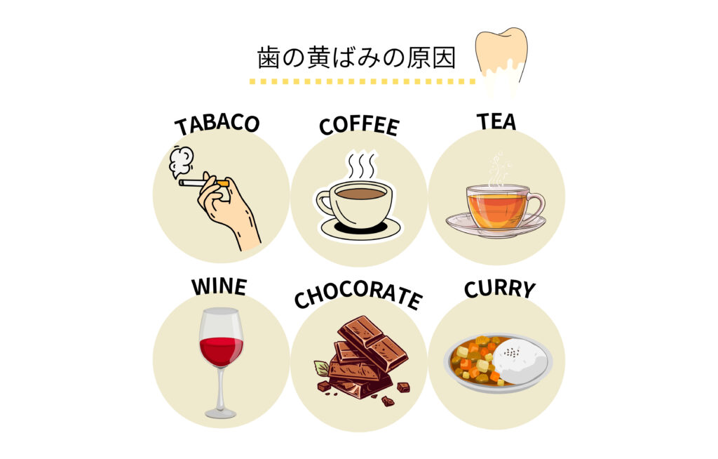 画像に alt 属性が指定されていません。ファイル名: %E6%AD%AF%E3%83%96%E3%83%A9%E3%82%B71000-1-1-1024x654.jpg