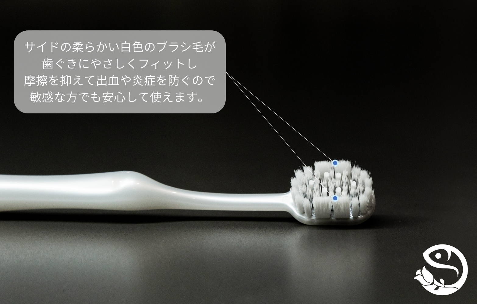 画像に alt 属性が指定されていません。ファイル名: %E6%AD%AF%E3%83%96%E3%83%A9%E3%82%B71000-7.jpg